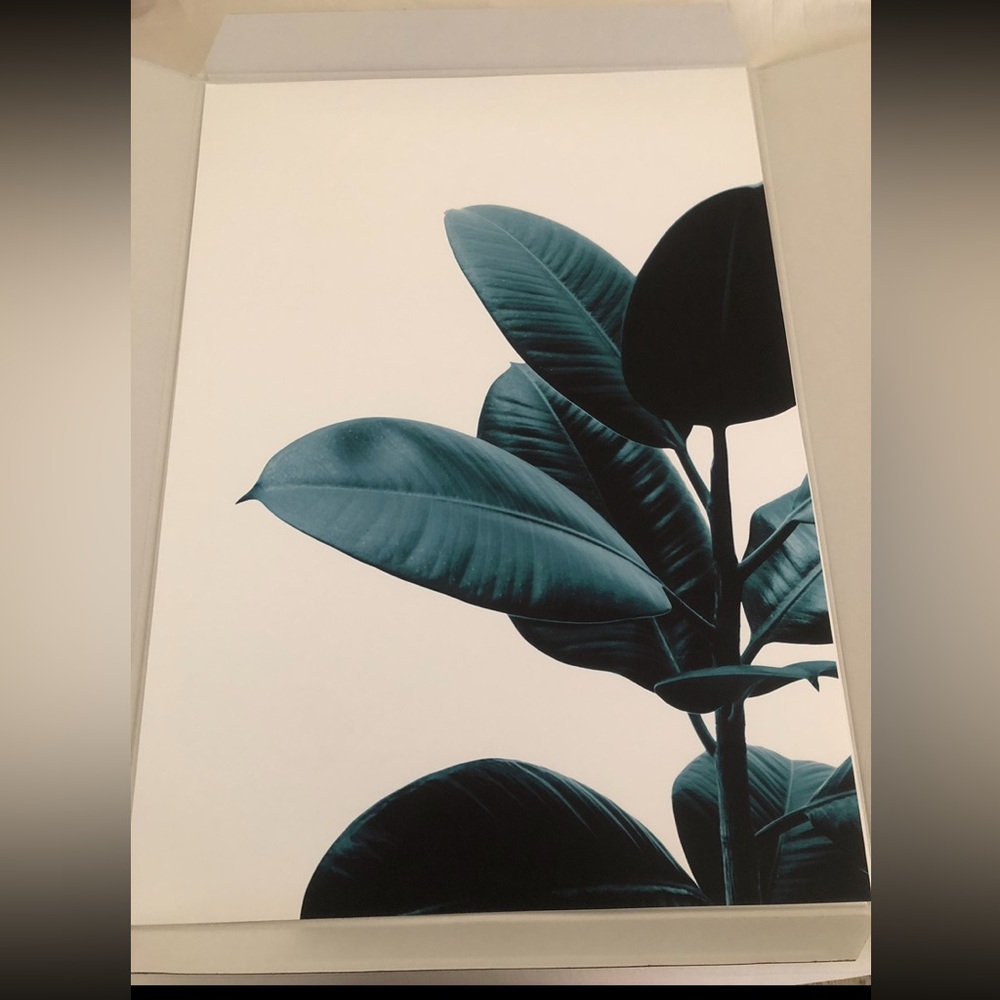 Desenio Green Plant Poster with Frame